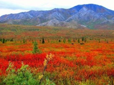 composer314's profile picture. Software Engineer @ Meta AI. Composer (Orchestral, Electronic, Experimental). Music Tech. Opinions my own.