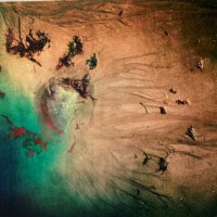 Charlotte Vernier (@chavernier) 's Twitter Profile