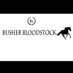 Busher Bloodstock (@busherbloodSK) Twitter profile photo