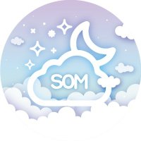 โ๏ธ์๋ญ์น์ต (@sommungchii_) 's Twitter Profile Photo โ๏ธ์๋ญ์น์ต (@sommungchii_) 's Twitter Profile Photo