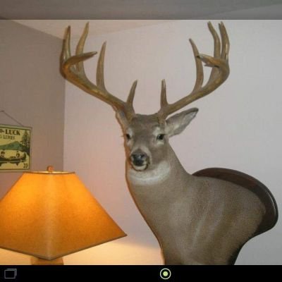 just a country boy at heart happy married in kansas hunting monster white tail deer . keeping it real .id rather be real and rejected .then fake and excepted.
