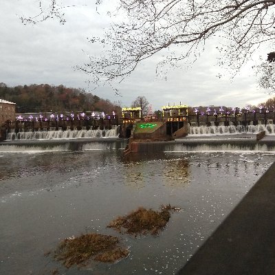 JasonHo23055035's profile picture. 