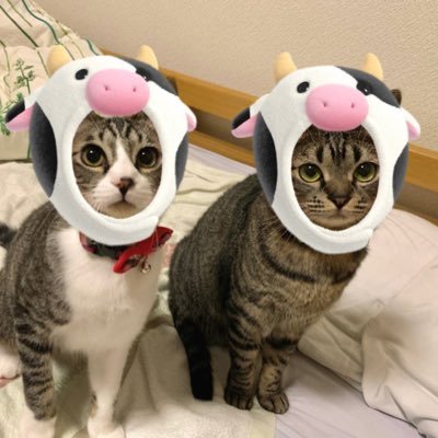 ちーぬのプロフィール写真
