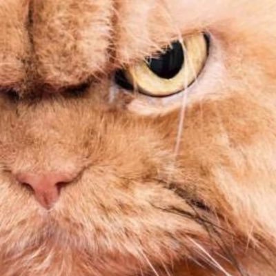 KittyWiddy's profile picture. 🇺🇸🏝 🏖 🎢 🇺🇸 “A Republic if you can keep it”