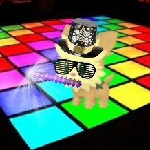 yforyass1's profile picture. Happy New Year !