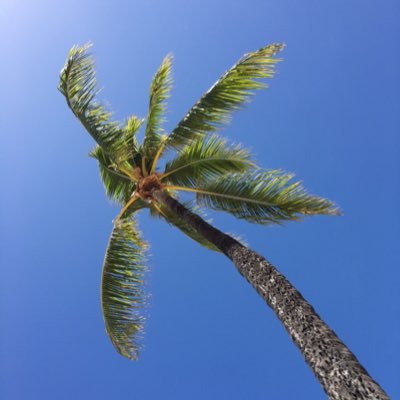 父さん 剛毛房男 本日は夜8 00から玄スト杯です 本日はpubgのカスタムマッチをやってみたいと思います 最低人数32人以上いないとスタートできないので 集まらなかった場合は別ゲーになります 泣 参加できそうな方は事前にアプデお願いします 父さん 剛毛房男 本日は夜8 00から玄スト杯です 本日はpubgのカスタムマッチをやってみたいと思います 最低人数32人以上いないとスタートできないので 集まらなかった場合は別ゲーになります 泣 参加できそうな方は事前にアプデお願いします