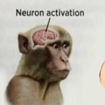 WarmindConting1's profile picture. oh fuck oh god oh hell I will skin jack dorsey alive. @ReduxWarmind and @Warmind_2 are my other locked accounts.