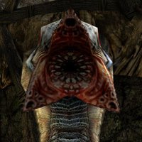 Jim Der Sumpfhai (@sumpfhai) 's Twitter Profile