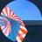 bonvoyage_2020