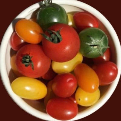 Jlm_tiknow's profile picture. 嵐の相葉くん。坂本龍一氏。いぬとねこ。ごはん。