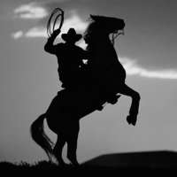 LOTFE 🇸🇦 (@_lotfe_20) 's Twitter Profile