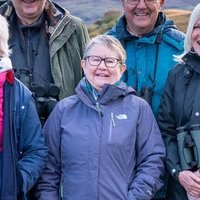 carol ingleby (@carolinglebee) 's Twitter Profile Photo carol ingleby (@carolinglebee) 's Twitter Profile Photo