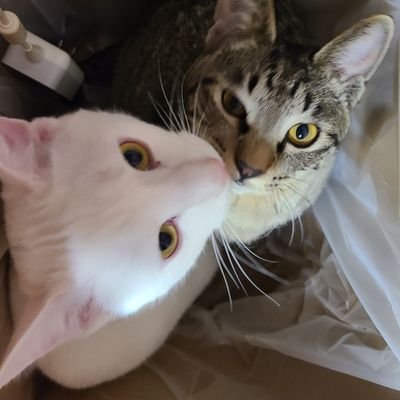 ヤータカさんのプロフィール画像