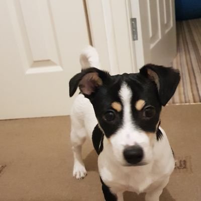 belclaire73's profile picture. Avid hiker, foodie, opinionated but never disrespectful. Love cycling, live shows & The Mournes 🚴‍♂️🚴‍♀️🧤🧣🧥🐕🐈🐺🌻🌹