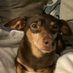 Obie ( RIP🌈 my bro Patch ) (@prettyred52) Twitter profile photo Obie ( RIP🌈 my bro Patch ) (@prettyred52) Twitter profile photo