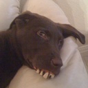 Kate Smiley - @GoOutAndLove - Twitter