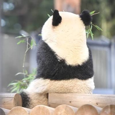 見ためは子供(童顔) 頭脳はおバカさん。ふぉ~ゆ~と同学年のうさぎgirl🐰
応援していけることに感謝🌈大きな幸せをいつもありがとう🍀
嵐☆二宮和也☆林翔太★松本幸大☆五関晃一★越岡裕貴☆生田斗真★中丸雄一☆佐々木大光
特撮も大好きです。
質問箱☆https://t.co/vpgMrAPBer☆