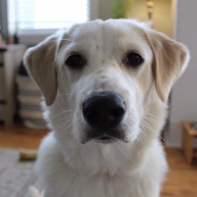 RyanRuff8's profile picture. 