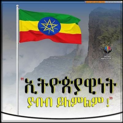 delil_mubarek's profile picture. 