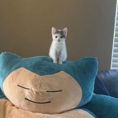 Farns__'s profile picture. 