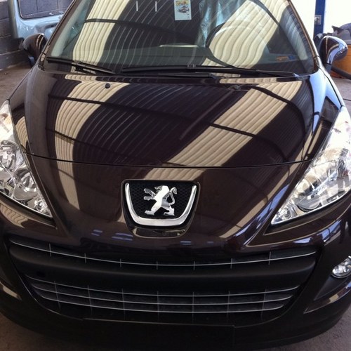 fox00f's profile picture. 