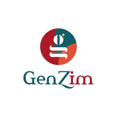 A digital mentorship space for Zimbabwean youth where we unpack life skills, personal development and career insights.
Check out our Instagram@genzimconnection