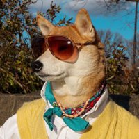 Menswear Dog(@Mensweardog) 's Twitter Profile Photo