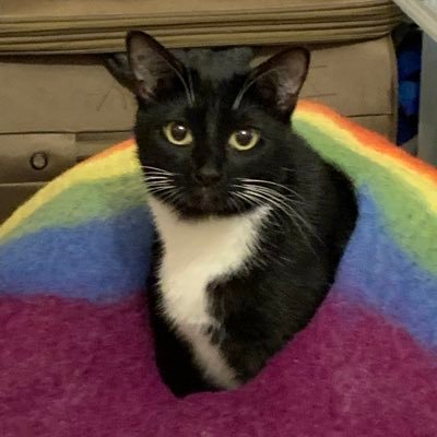 millie_lindz's profile picture. 