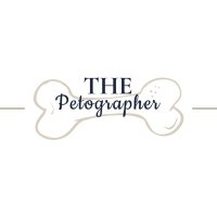 The Petographer(@TPetographer) 's Twitter Profile Photo