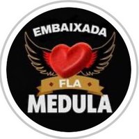 EMBAIXADA FLA MEDULA OFICIAL(@MedulaFla) 's Twitter Profile Photo