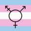 TransgenderTeenSurvivalGuide (TTSG)