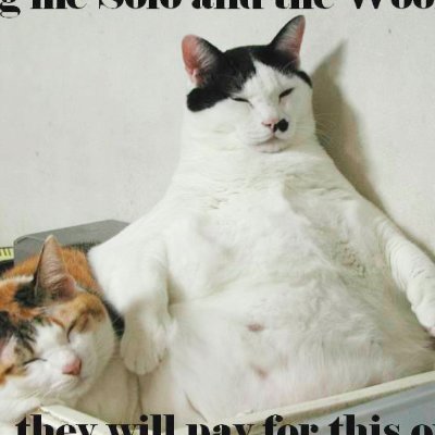 wookiefoot24's profile picture. 