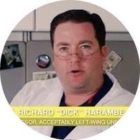 Dr. Richard Harambe(@Richard_Harambe) 's Twitter Profileg