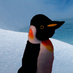 John (@maclover682) Twitter profile photo John (@maclover682) Twitter profile photo