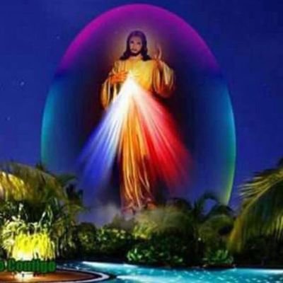 ypaezp's profile picture. 