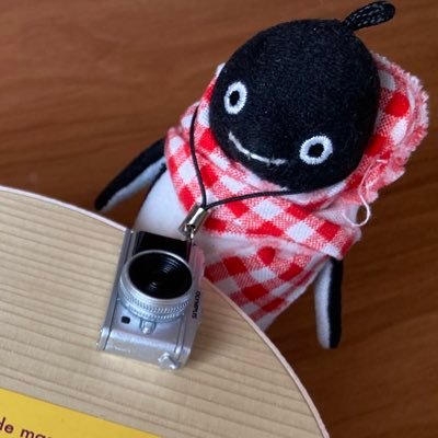 彗ペンさんのプロフィール画像