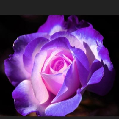 v_rags's profile picture. Ra Law of one, Love, Christ consciousness