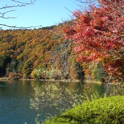 riikuuun1's profile picture. つぶやき