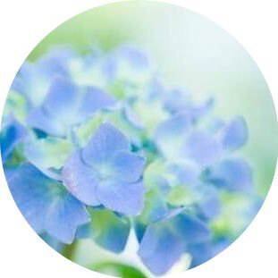 heart_wako's profile picture. ＊神宮寺勇太くん(Number_i)＊ニノ(嵐)＊岩瀬洋志くん＊橋本将生くん(timelesz)＊家族事。ポイ活・懸賞・TikTokLite 新規招待51人・本家7人成功中✨ 別垢はこちら→@wakowaipaa 🐠すくいバトル🔗はこちら↓