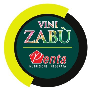 ViniZabuProTeam