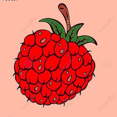 Blog de belleza, moda, salud, gourmet, viajes, arte, gadgets, entretenimiento, eventos, estilo de vida y algo más..
Instagram @raspberrymagazine