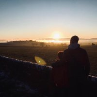 Nick Sheppard (@mrnick) 's Twitter Profile