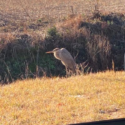 SembrotM's profile picture. #BLM, #METOO, #Vegan, #TrueCrime, #globalearth, #compassion, #respect, #loveofspirit, #Morbidpodcast