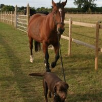 Ben - outhacking.com (@outhacking) 's Twitter Profile