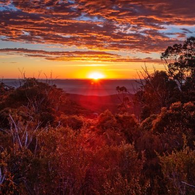 sunburntcm's profile picture. An Australian country music website