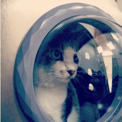 Robotech5_0's profile picture. 