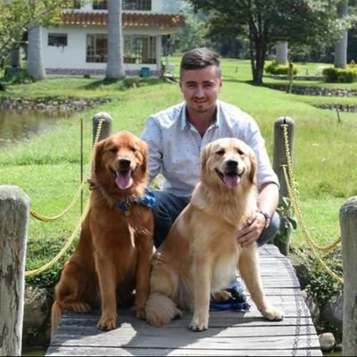 POLLOPACHON's profile picture. 