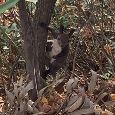 江別育ち江別在住の社会人です。 江別市のいいところをもっと知りたいのでTwitterを始めました。⚾️🥃🏋️
