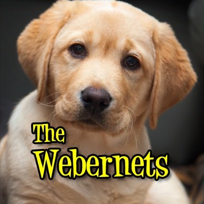 The Webernets