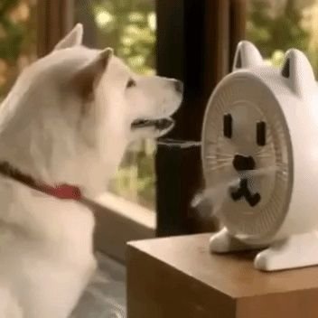 Farmerforlife2's profile picture. 